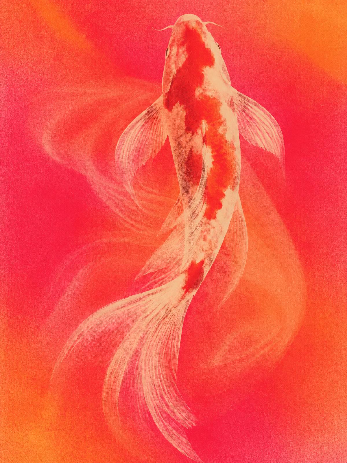 Ein Koi in leuchtenden Korall- und Pinktönen, umgeben von wirbelndem Wasser. In Japan steht der Koi für Glück und dafür, ruhig gegen den Strom zu schwimmen. Titelbild des PulVital Erfahrungsberichts